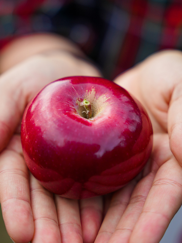 apple