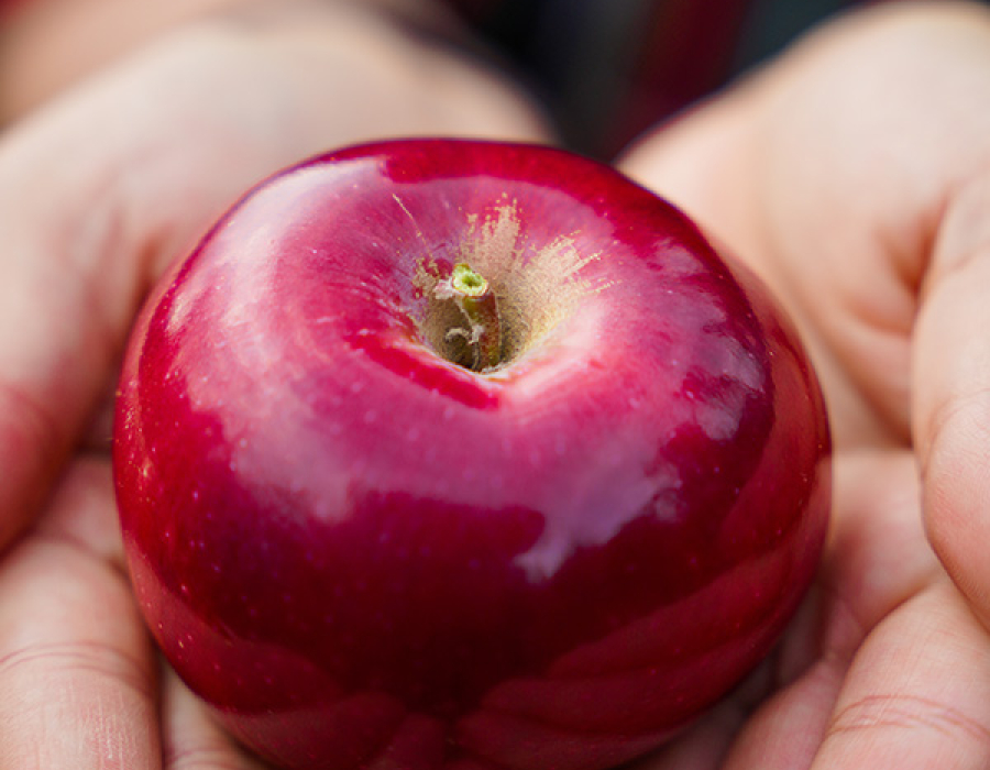 apple